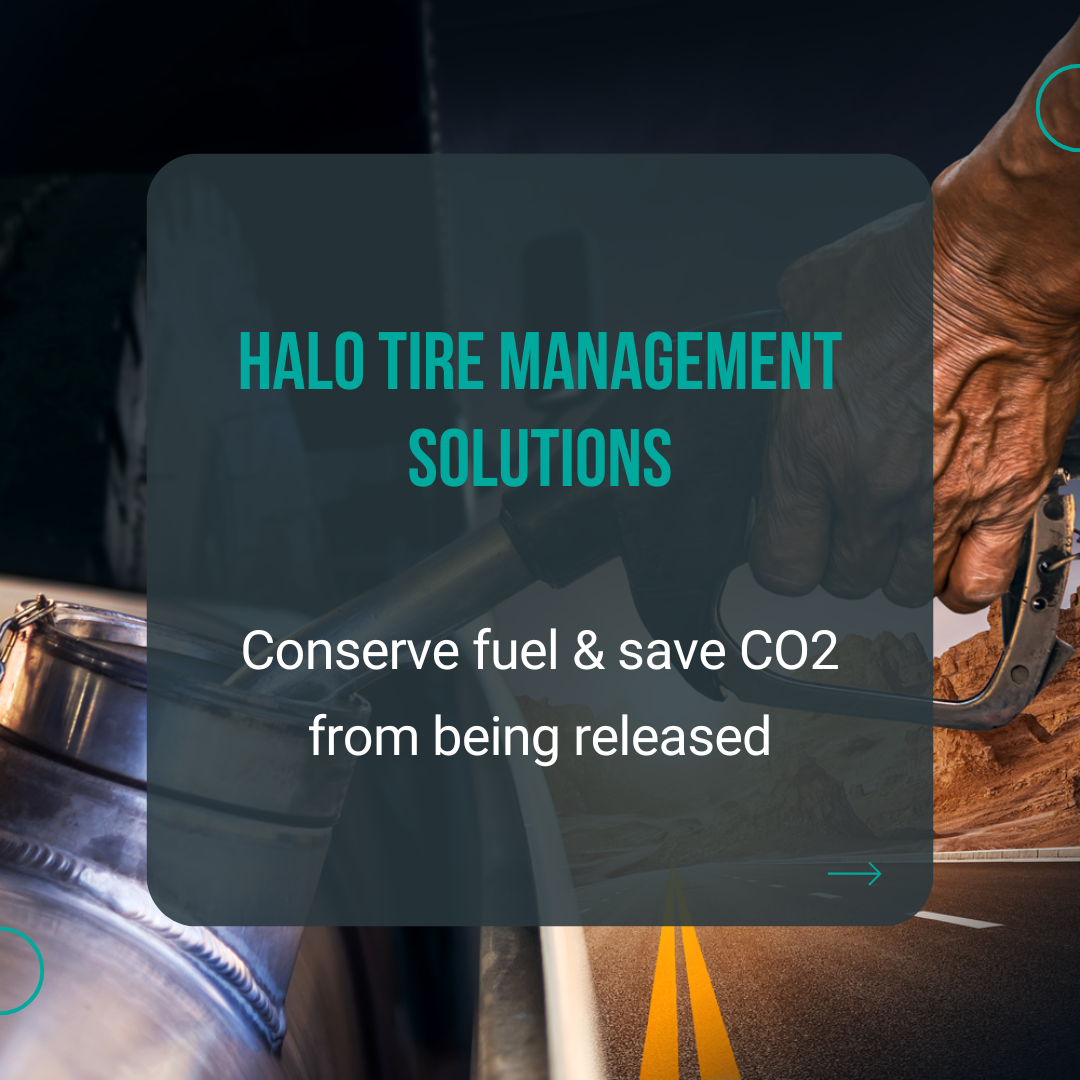 Halo Tire Management